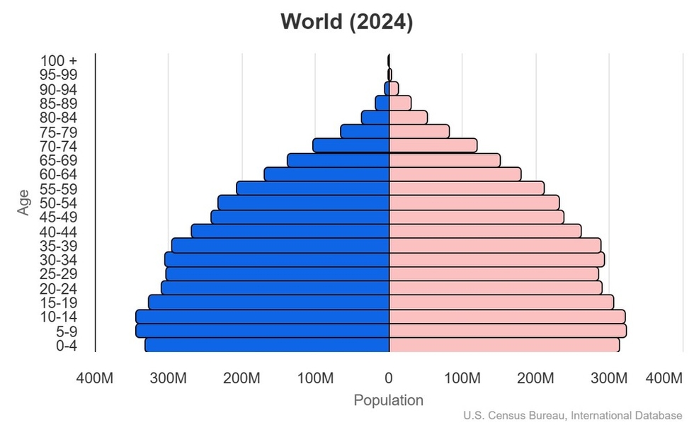 This is the population pyramid for World. A population pyramid illustrates the age and sex structure of a country's population and may provide insights about political and social stability, as well as economic development. The population is distributed along the horizontal axis, with males shown on the left and females on the right. The male and female populations are broken down into 5-year age groups represented as horizontal bars along the vertical axis, with the youngest age groups at the bottom and the oldest at the top. The shape of the population pyramid gradually evolves over time based on fertility, mortality, and international migration trends. <br/><br/>For additional information, please see the entry for Population pyramid on the Definitions and Notes page.
