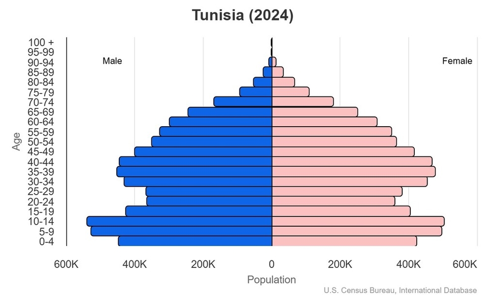 This is the population pyramid for Tunisia. A population pyramid illustrates the age and sex structure of a country's population and may provide insights about political and social stability, as well as economic development. The population is distributed along the horizontal axis, with males shown on the left and females on the right. The male and female populations are broken down into 5-year age groups represented as horizontal bars along the vertical axis, with the youngest age groups at the bottom and the oldest at the top. The shape of the population pyramid gradually evolves over time based on fertility, mortality, and international migration trends. <br/><br/>For additional information, please see the entry for Population pyramid on the Definitions and Notes page.