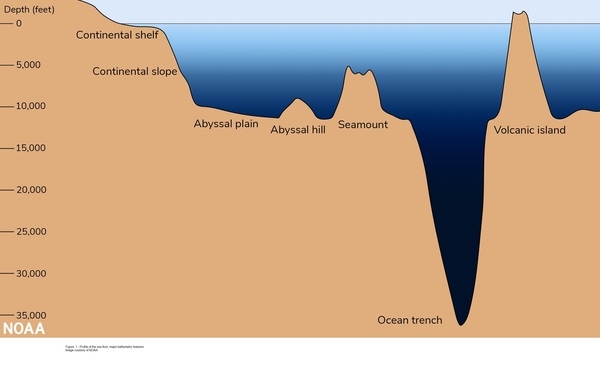Figure 1. Profile of the sea floor
Major bathymetric features
Image courtesy of NOAA.