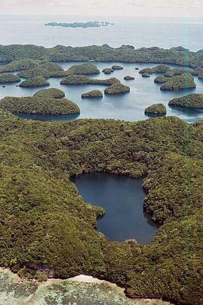 Aerial view of Jellyfish Lake on the island of Eil Malk in Palau. This view is looking west across the lake, past small coral and rock islets and toward the Seventy Island Preserve, which is about 11.5 km (7 mi) away. Photo courtesy of the US National Park Service.
