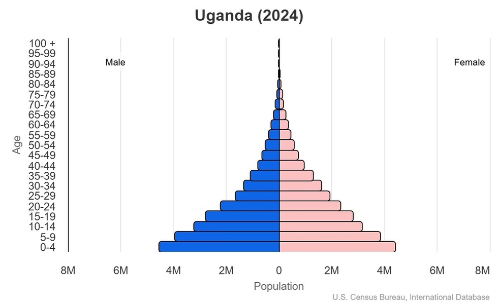This is the population pyramid for Uganda. A population pyramid illustrates the age and sex structure of a country's population and may provide insights about political and social stability, as well as economic development. The population is distributed along the horizontal axis, with males shown on the left and females on the right. The male and female populations are broken down into 5-year age groups represented as horizontal bars along the vertical axis, with the youngest age groups at the bottom and the oldest at the top. The shape of the population pyramid gradually evolves over time based on fertility, mortality, and international migration trends. <br/><br/>For additional information, please see the entry for Population pyramid on the Definitions and Notes page.