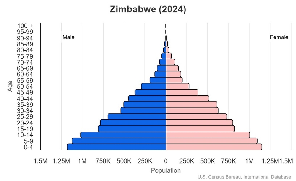 This is the population pyramid for Zimbabwe. A population pyramid illustrates the age and sex structure of a country's population and may provide insights about political and social stability, as well as economic development. The population is distributed along the horizontal axis, with males shown on the left and females on the right. The male and female populations are broken down into 5-year age groups represented as horizontal bars along the vertical axis, with the youngest age groups at the bottom and the oldest at the top. The shape of the population pyramid gradually evolves over time based on fertility, mortality, and international migration trends. <br/><br/>For additional information, please see the entry for Population pyramid on the Definitions and Notes page.