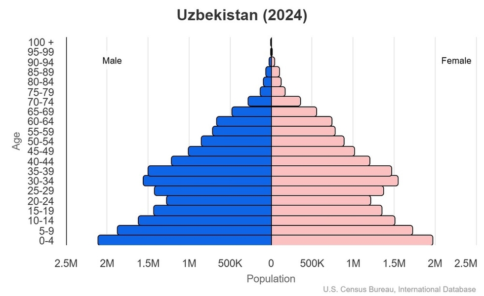 This is the population pyramid for Uzbekistan. A population pyramid illustrates the age and sex structure of a country's population and may provide insights about political and social stability, as well as economic development. The population is distributed along the horizontal axis, with males shown on the left and females on the right. The male and female populations are broken down into 5-year age groups represented as horizontal bars along the vertical axis, with the youngest age groups at the bottom and the oldest at the top. The shape of the population pyramid gradually evolves over time based on fertility, mortality, and international migration trends. <br/><br/>For additional information, please see the entry for Population pyramid on the Definitions and Notes page.